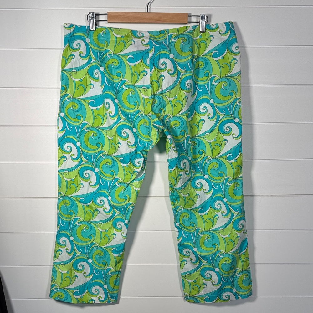 Love life felice pappas Women's Green and Blue Pants Size 14